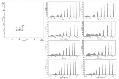 Rainbow Calibration Particle Set (8 peaks) [NBP3-00504] - Dot plot and histograms of NBP3-00504 from a BD FacsCanto(TM)II.