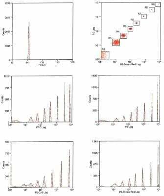 Rainbow Calibration Particle Set (8 peaks) [NBP3-00504] - Front scatter population histogram and PE Log x PE-TR Log scatter dot plot with 8 populations. Based on these gates, histograms show 8 peaks for FITC, PE, PE-Cy5 and PE-TR channels.