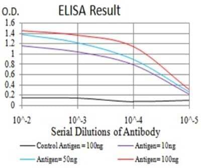 ELISA: RalB Antibody (8A8A9) [NBP2-61826] - Black line: Control Antigen (100 ng);Purple line: Antigen (10ng); Blue line: Antigen (50 ng); Red line:Antigen (100 ng)
