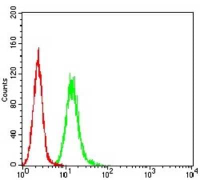 ELISA: RalB Antibody (8A8A9) [NBP2-61826] - Analysis of Hela cells using RALB mouse mAb (green) and negative control (red).