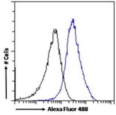 Flow Cytometry: RanBP1 Antibody [NB100-1443] - Flow cytometric analysis of paraformaldehyde fixed HEK293 cells (blue line), permeabilized with 0.5% Triton. Primary incubation 1hr (10ug/ml) followed by Alexa Fluor 488 secondary antibody (1ug/ml). IgG control: Unimmunized goat IgG (black line) followed by Alexa Fluor 488 secondary antibody.