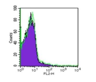 Flow Cytometry: Rat IgG1 Isotype Control (HRPN) [HRP] [NBP2-30350H] - Cell surface flow analysis of 10^6 mouse splenocytes using 0.25 ug of rat isotype control. The shaded histogram represents mouse splenocytes alone; green represents rat isotype control (20210A). PE-conjugated donkey anti-rat secondary antibody (20205) was used in this experiment.