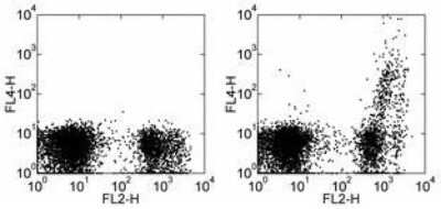 Flow Cytometry: Rat anti-Mouse IgM Secondary Antibody (II/41) [Allophycocyanin] [NBP1-42995] - Staining of C57Bl/6 bone marrow cells with Anti-Human/Mouse CD45R (B220) FITC and 0.125 ug of Rat IgG2a K Isotype Control APC (left) or 0.125 ug of Anti-Mouse IgM APC (right). Cells in the small scatter population were used for analysis.