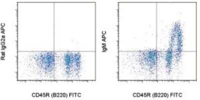 Flow Cytometry: Rat anti-Mouse IgM Secondary Antibody (II/41) [Allophycocyanin] [NBP1-42995] - Staining of C57Bl/6 bone marrow cells with Anti-Human/Mouse CD45R (B220) FITC and 0.125 ug of Rat IgG2a K Isotype Control APC (left) or 0.125 ug of Anti-Mouse IgM APC (right). Cells in the small scatter population were used for analysis.