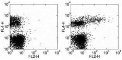 Flow Cytometry: Rat anti-Mouse IgM Secondary Antibody (II/41) [PE] [NBP1-43763] - See Notes