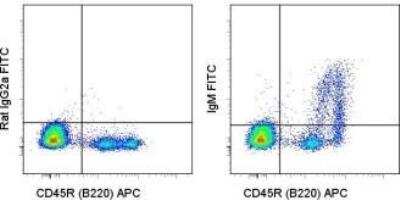 Flow Cytometry: Rat anti-Mouse IgM Heavy Chain Secondary Antibody [FITC] [NBP1-43944] - Staining of C57Bl/6 bone marrow cells with Anti-Human/Mouse CD45R (B220) APC  and 0.25 micrograms of Rat IgG2a k Isotype Control FITC (left) or 0.25 micrograms of Anti-Mouse IgM FITC (right). Total viable cells were used for analysis.