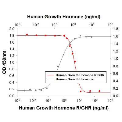 Bioactivity: Recombinant Human Growth Hormone R Protein [NBP2-52208] - Human Growth Hormone R in inhibit the cell growth using Nb2-11 Rat lymphoma cells in the presence of 1.25ng/ml of human growth hormone. The ED50 range = 10ng/ml.
