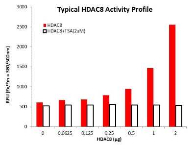 HPLC: Recombinant Human Histone Deacetylase 8/HDAC8 Protein [NBP1-99513]