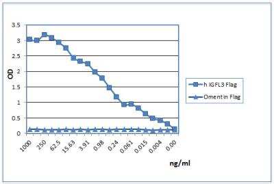 ELISA: Recombinant Human IGFL-3 FLAG Protein [NBP3-18152] - IGFL3 (human) binds to its receptor IGFLR1 (human):Fc (human) or a negative control, Omentin (human) during one hour and then detected using an anti-FLAG(R) antibody (HRP).