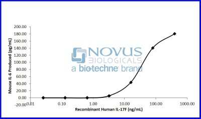 Bioactivity: Recombinant Human IL-17F Animal-Free Protein [NBP2-76215] - IL-17F induced production of mouse IL-6 by NIH3T3 cells.