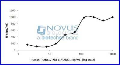 Bioactivity: Recombinant Human TRANCE/TNFSF11/RANK L Animal-Free Protein [NBP2-76190] - TRANCE/TNFSF11/RANK L induced IL-8 production by human PBMCs.