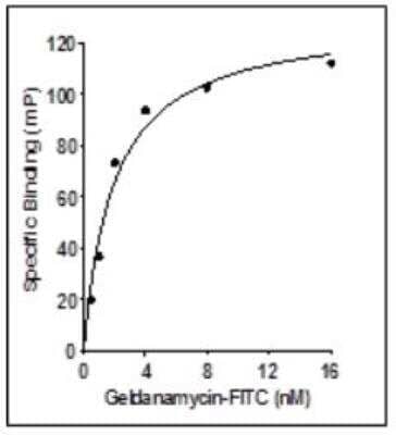 Recombinant Human TRAP1 Protein [NBP1-99222] - Geldanamycin IC50 of 1 nM.