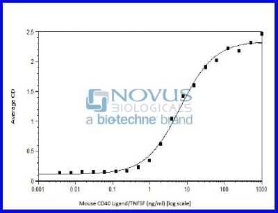 Bioactivity: Recombinant Mouse CD40 Ligand/TNFSF5 Protein [NBP2-76185] - CD40 Ligand/TNFSF5 induced activity of HEK-blue (TM) CD40L cells.