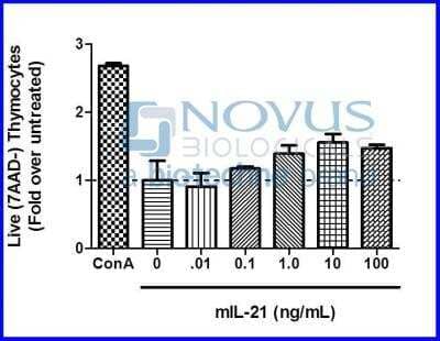 Bioactivity: Recombinant Mouse IL-21 Animal-Free Protein [NBP2-78045] - Induced proliferation of primary mouse thymocytes. 