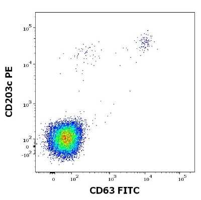 Flow Cytometry: Recombinant Plant Phleum pratense 5.0101 Strep (N-Term) Protein [NBP3-06713] - Flow cytometry dot-plot staining pattern of Phleum pratense 5.0101 recombinant allergen stimulated human peripheral whole blood lymphocytes and basophils of a proven allergic donor stained using anti-human CD63 (NB100-77913) FITC and anti-human CD203c PE antibodies.