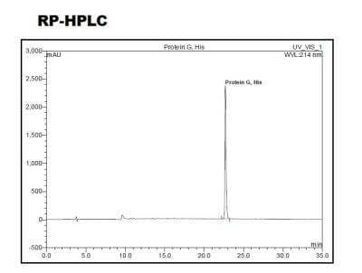 HPLC: Recombinant Protein G  Protein [NBP2-35035] - Protein G His (C-Term) Protein [NBP2-35035]