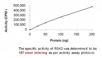 HPLC: Recombinant RSK2 Protein [NBP1-99502]
