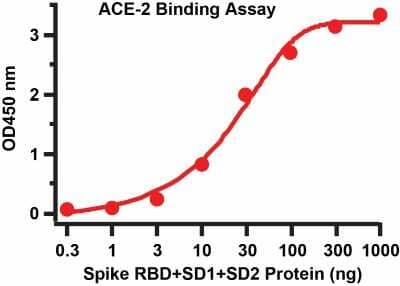 ELISA: Recombinant SARS-CoV-2 Spike (RBD+SD1+SD2) His (C-Term) Protein [NBP3-07951] - Binding Assay of ACE2 and Spike Recombinant Protein. Coating: Spike recombinant protein (NBP3-07951) from 0.3 ng to 1000 ng. Capture: ACE2 recombinant protein (0.5 ug/mL). Secondary: Goat anti-human IgG HRP conjugate at 1:10000 dilution.