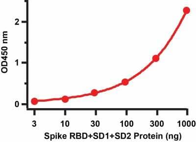 ELISA: Recombinant SARS-CoV-2 Spike (RBD+SD1+SD2) His (C-Term) Protein [NBP3-07951] - ELISA Validation of Spike Recombinant Protein. Coating Antigen: Spike recombinant protein (NBP3-07951) from 0.3 ng to 1000 ng. Capture Antibody: SARS-CoV-2 (COVID-19) Spike RBD antibody (1 ug/mL). Secondary: Goat anti-rabbit IgG HRP conjugate at 1:20000 dilution.