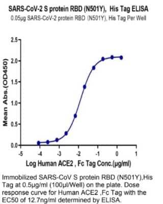 ELISA: Recombinant SARS-CoV-2 Spike RBD (N501Y) Protein [NBP3-07930] - Immobilized Recombinant SARS-CoV-2 Spike RBD (N501Y) Protein, His Tag at 0.5 ug/ml (100ug/Well) on the plate. Dose response curve for Human ACE2, Fc Tag with the EC50 of 12.7 ng/ml determined by ELISA.