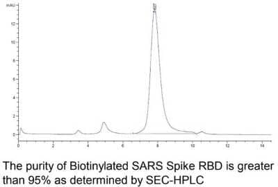 HPLC: Recombinant SARS-CoV Spike RBD Biotin His Avi-tag Protein [NBP3-07948] - Recombinant SARS-CoV Spike RBD Biotin His Avi-tag Protein