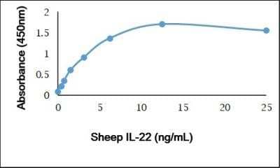 ELISA: Recombinant Sheep IL-22 Protein [NBP3-11060] - Recombinant Sheep Interleukin-22 detected using Rabbit anti Sheep Interleukin-22 as the capture reagent and Rabbit anti Sheep Interleukin-22:Biotin as the detection reagent followed by Streptavidin:HRP.