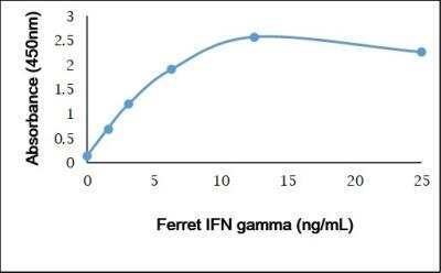 ELISA: Recombinant ferret IFN-gamma Protein [NBP3-11055] - Recombinant Ferret IFN gamma detected using Rabbit anti Ferret IFN gamma as the capture reagent and Rabbit anti Ferret IFN gamma:Biotin as the detection reagent followed by Streptavidin:HRP.