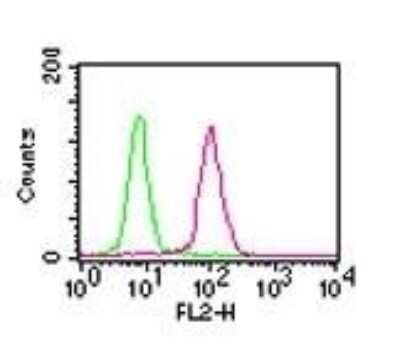 Flow Cytometry: RelA/NFkB p65 Antibody (112A1021) - Azide Free [NBP2-27416] - Intracellular staining of 293 HEK cells using 0.5 ug of p65 antibody. Green histogram represents the isotype control (p65) antibody. this antibody was used for this test, and an anti-mouse IgG PE conjugated secondary antibody.