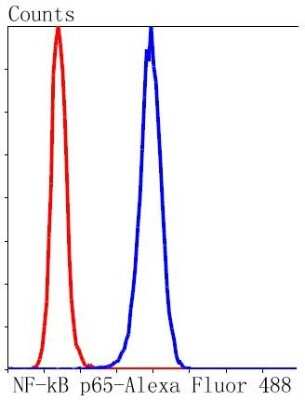 Flow Cytometry: RelA/NFkB p65 NLS Antibody (SZ10-04) [NBP2-67352] - Analysis of Hela cells with NF-kB p65 antibody at 1/50 dilution (blue) compared with an unlabelled control (cells without incubation with primary antibody; red). Alexa Fluor 488-conjugated goat anti rabbit IgG was used as the secondary antibody.
