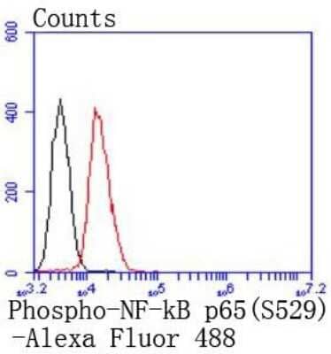 Flow Cytometry: RelA/NFkB p65 NLS [p Ser526] Antibody (SP07-00) [NBP2-66798] - Analysis of Daudi cells with Phospho-NF-kB p65(S529) antibody at 1/50 dilution (red) compared with an unlabelled control (cells without incubation with primary antibody; black). Alexa Fluor 488-conjugated goat anti rabbit IgG was used as the secondary ant