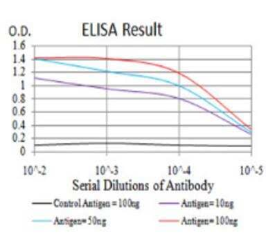 ELISA: Renalase Antibody (1C11E8) [NBP2-52554] - Black line: Control Antigen (100 ng);Purple line: Antigen (10ng); Blue line: Antigen (50 ng); Red line:Antigen (100 ng)