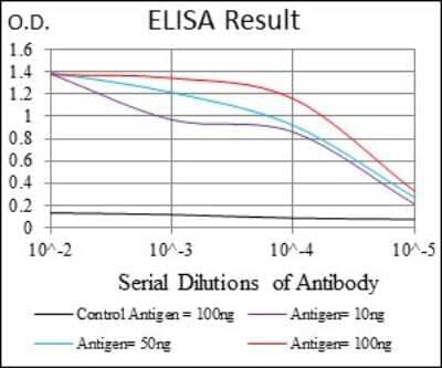 ELISA: Rex-1/ZFP42 Antibody (5E11E7) [NBP2-37360] - Red: Control Antigen (100ng); Purple: Antigen (10ng); Green: Antigen (50ng); Blue: Antigen (100ng);