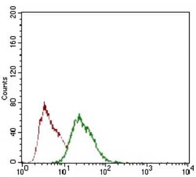 Flow Cytometry: Rex-1/ZFP42 Antibody (5E11E7) [NBP2-37360] - Flow cytometric analysis of HEK293 cells using ZFP42 mouse mAb (green) and negative control (red).