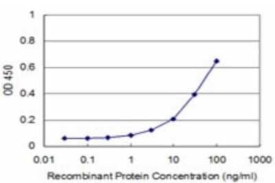 ELISA: RhoA Antibody (1G7-1D11) [H00000387-M02] - Detection limit for recombinant GST tagged RHOA is approximately 3ng/ml as a capture antibody.