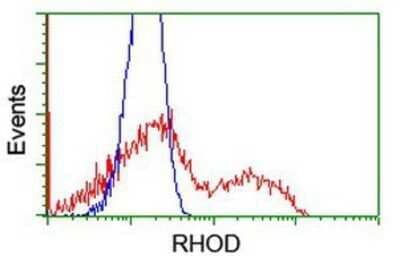 Flow Cytometry: RhoD Antibody (OTI2F7) - Azide and BSA Free [NBP2-73889] - HEK293T cells transfected with either overexpression plasmid (Red) or empty vector control plasmid (Blue) were immunostaining by anti-RhoD antibody, and then analyzed by flow cytometry.