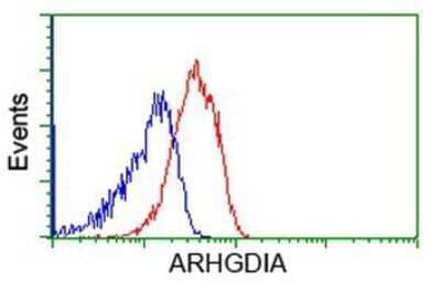 Flow Cytometry: RhoGDI Antibody (OTI1F2) - Azide and BSA Free [NBP2-73890] - Analysis of Jurkat cells, using anti-RhoGDI antibody, (Red), compared to a nonspecific negative control antibody (Blue).