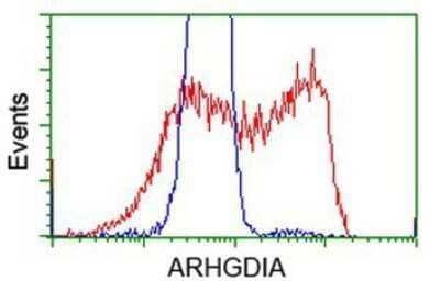 Flow Cytometry: RhoGDI Antibody (OTI1F2) - Azide and BSA Free [NBP2-73890] - HEK293T cells transfected with either overexpression plasmid (Red) or empty vector control plasmid (Blue) were immunostaining by anti-RhoGDI antibody, and then analyzed by flow cytometry.