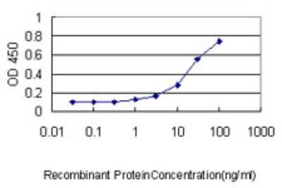 ELISA: RhoJ Antibody (1E4) [H00057381-M01] - Detection limit for recombinant GST tagged RHOJ is approximately 1ng/ml as a capture antibody.