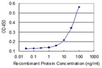 Sandwich ELISA: Rhophilin 2 Antibody (1C5) [H00085415-M01] - Detection limit for recombinant GST tagged RHPN2 is 3 ng/ml as a capture antibody.