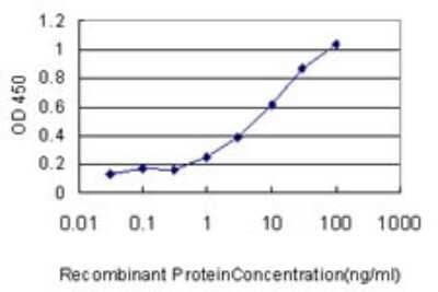 Sandwich ELISA: Ribophorin I Antibody (2C10-2F6) [H00006184-M01] - Detection limit for recombinant GST tagged RPN1 is approximately 1ng/ml as a capture antibody.