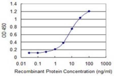 Sandwich ELISA: Ribophorin I Antibody (4B1-1E6) [H00006184-M03] - Detection limit for recombinant GST tagged RPN1 is 0.1 ng/ml as a capture antibody.