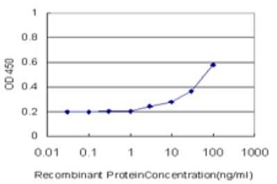Sandwich ELISA: Ribosomal Protein S6/RPS6 Antibody (3H1-F2) [H00006194-M01] - Detection limit for recombinant GST tagged RPS6 is approximately 3ng/ml as a capture antibody.
