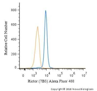 Flow Cytometry: Rictor Antibody (7B3) [Alexa Fluor® 488] [NBP1-51645AF488] - An intracellular stain was performed on Jurkat cells with Rictor Antibody (7B3) NBP1-51645AF488 (blue) and a matched isotype control (orange). Cells were fixed with 4% PFA and then permeabilized with 0.1% saponin. Cells were incubated in an antibody dilution of 5 ug/mL for 30 minutes at room temperature. Both antibodies were conjugated to Alexa Fluor 488.