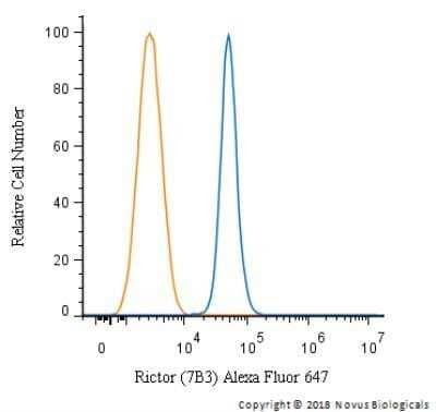 Flow Cytometry: Rictor Antibody (7B3) - Azide and BSA Free [NBP2-80925] - An intracellular stain was performed on HeLa cells with Rictor Antibody (7B3) NBP1-51645AF647 (blue) and a matched isotype control (orange). Cells were fixed with 4% PFA and then permeabilized with 0.1% saponin. Cells were incubated in an antibody dilution of 2.5 ug/mL for 30 minutes at room temperature. Both antibodies were directly conjugated to Alexa Fluor 647.