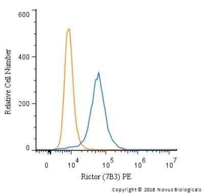 Flow Cytometry: Rictor Antibody (7B3) - Azide and BSA Free [NBP2-80925] - An intracellular stain was performed on HeLa cells with Rictor Antibody (7B3) NBP1-51645PE (blue) and a matched isotype control (orange). Cells were fixed with 4% PFA and then permeabilized with 0.1% saponin. Cells were incubated in an antibody dilution of 2.5 ug/mL for 30 minutes at room temperature. Both antibodies were directly conjugated to phycoerythrin.