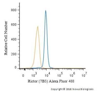 Flow Cytometry: Rictor Antibody (7B3) - Azide and BSA Free [NBP2-80925] - An intracellular stain was performed on Jurkat cells with Rictor Antibody (7B3) NBP1-51645AF488 (blue) and a matched isotype control (orange). Cells were fixed with 4% PFA and then permeabilized with 0.1% saponin. Cells were incubated in an antibody dilution of 5 ug/mL for 30 minutes at room temperature. Both antibodies were directly conjugated to Alexa Fluor 488.