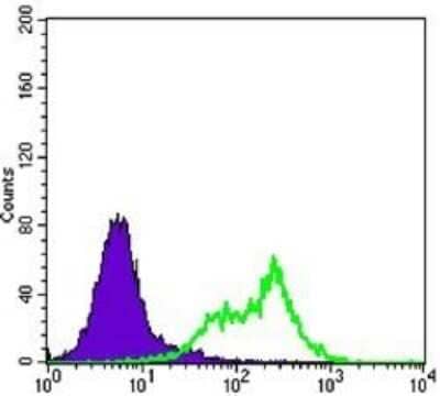 Flow Cytometry: Rictor Antibody (7B3) - Azide and BSA Free [NBP2-80925] - Flow cytometric analysis of Hela cells using RICTOR mouse mAb (green) and negative control (purple). Image from the standard format of this antibody.