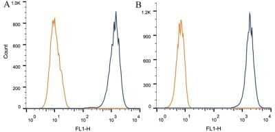 Flow Cytometry: Rictor Antibody (7B3) - Azide and BSA Free [NBP2-80925] - Intracellular flow cytometric staining of 1 x 10^6 CHO (A) and HEK-293 (B) cells using RICTOR antibody (dark blue). Isotype control shown in orange. An antibody concentration of 1 ug/1x10^6 cells was used. Image from the standard format of this antibody.