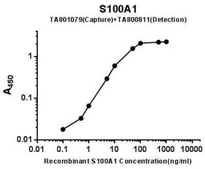 ELISA: S100A1 Antibody (OTI6G4) - Azide and BSA Free [NBP2-73967] - Standard curve with S100A1 recombinant protein using S100A1 Capture Antibody and HRP conjugated S100A1 Detection mAb.