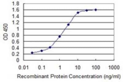 Sandwich ELISA: S100A10 Antibody (3E10) [H00006281-M09] - Detection limit for recombinant GST tagged S100A10 is 0.03 ng/ml as a capture antibody.